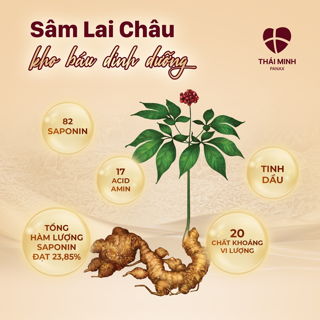 Sâm Lai Châu Thái Minh ứng dụng Bộ tiêu chuẩn chất lượng vào quy trình "chuẩn 7 bước", cho hàm lượng MR2 cao gấp 8-10 lần Dược điển Việt Nam!